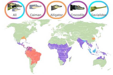 alligator location map.